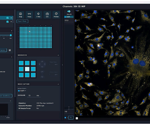 Advancing 3D imaging, automation, and phenotypic discovery with AI-driven high-content screening