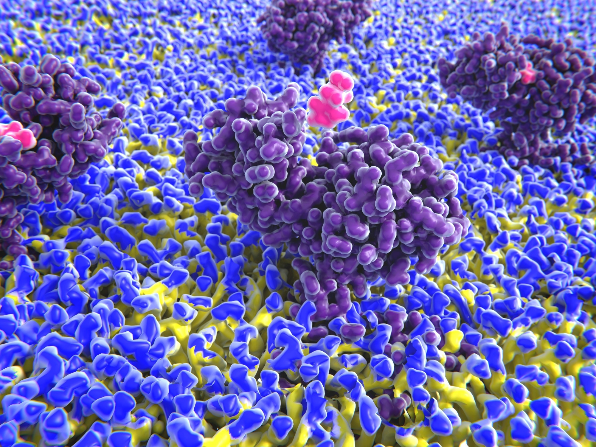 Study: Histamine shapes the neurocomputational dynamics of human learning. Image Credit: Juan Gaertner / Shutterstock