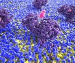 Histamine boost helps the brain remember, decide, and learn from loss