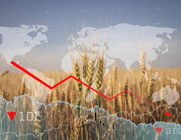 Food security review shows how countries can protect staple crops from global shocks