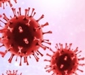 Why Andes hantavirus is not the next COVID-19