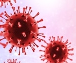 Why Andes hantavirus is not the next COVID-19
