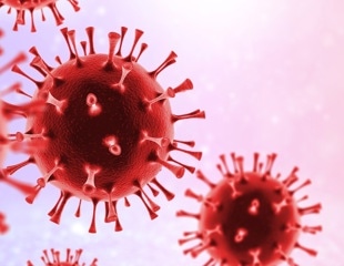 Why Andes hantavirus is not the next COVID-19