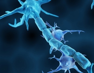 A hidden immune pathway may help explain why Alzheimer’s inflammation persists