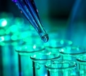 AI-powered analytics and experimental validation: Transforming target identification in drug discovery