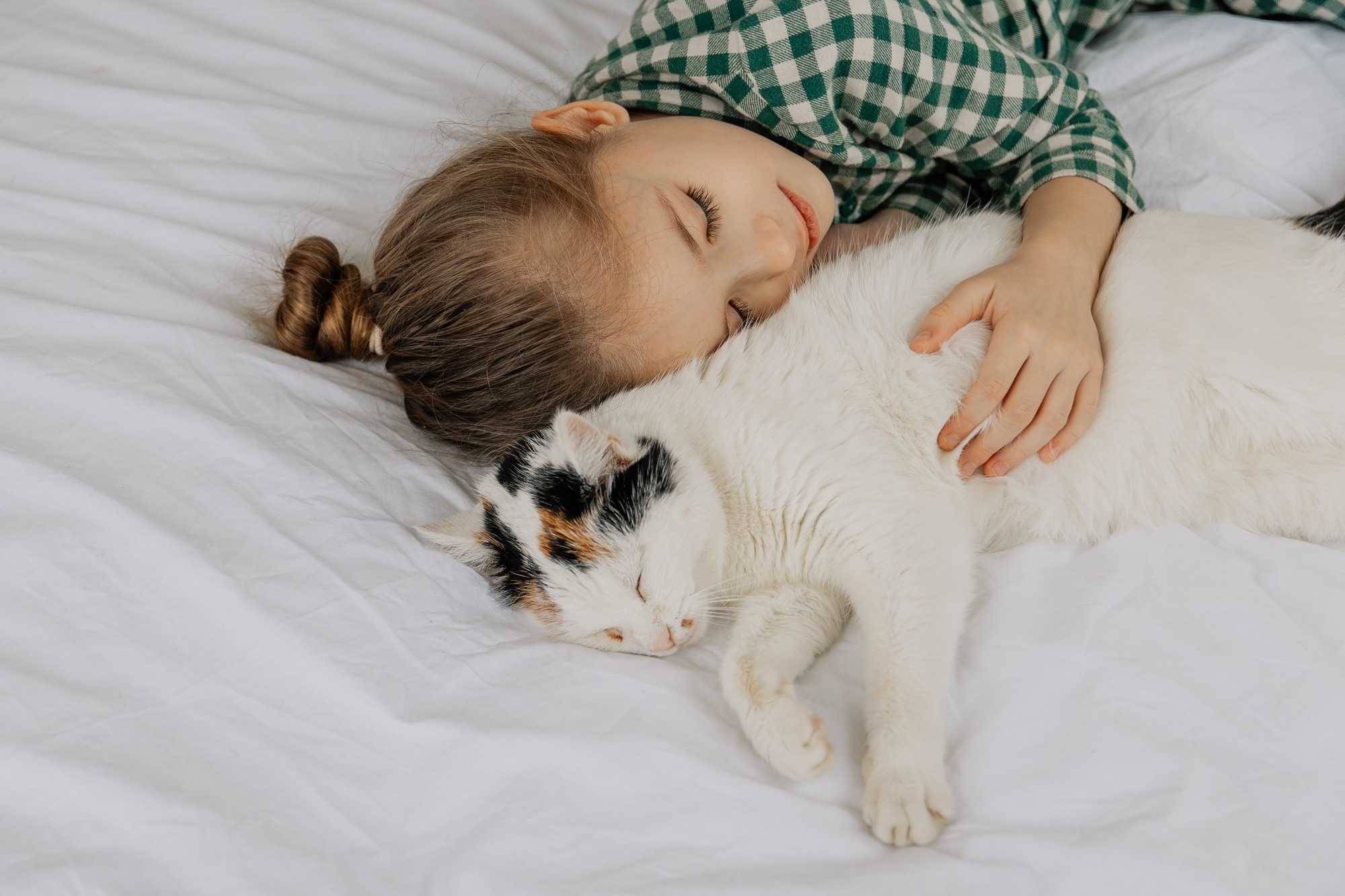 No link between cat ownership and asthma flare-ups in children