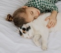 No link between cat ownership and asthma flare-ups in children