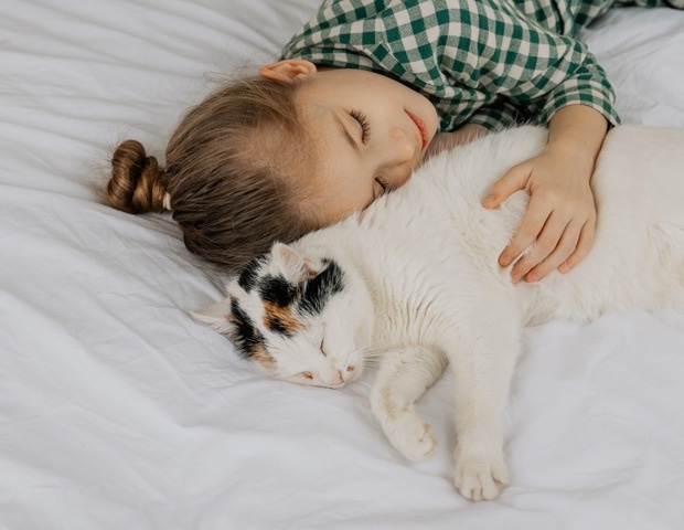 No link between cat ownership and asthma flare-ups in children