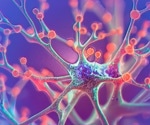 Blood proteins reveal which aging cells may raise disease risk