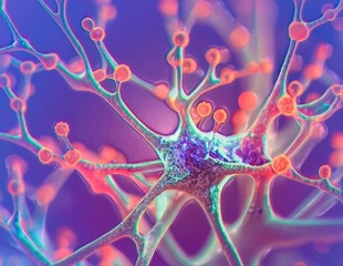 Blood proteins reveal which aging cells may raise disease risk