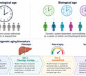 New biological age tools could reveal health risks before symptoms appear
