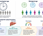 New biological age tools could reveal health risks before symptoms appear