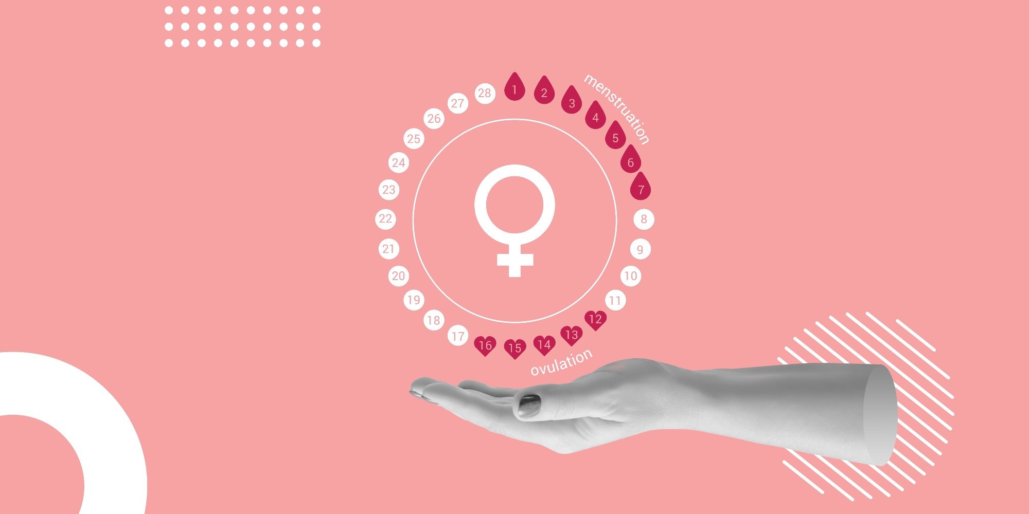 Study: Physical activity data correlate with fluctuations in estradiol. Image Credit: LariBat / Shutterstock