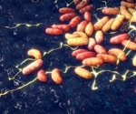 Plague emerged earlier than thought and hit hunter-gatherers hard