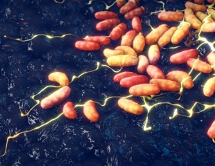 Plague emerged earlier than thought and hit hunter-gatherers hard