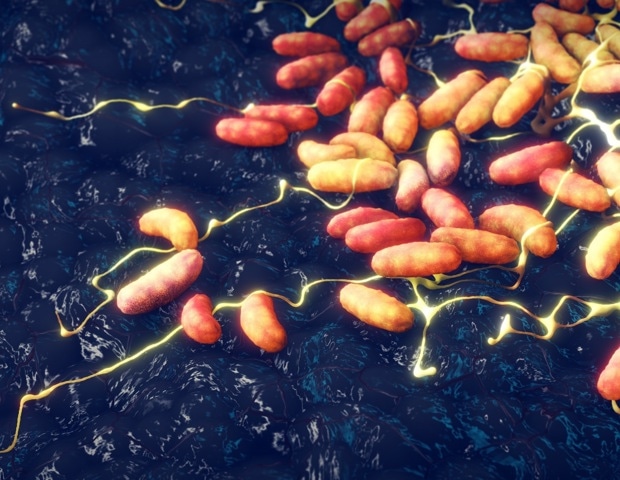 Plague emerged earlier than thought and hit hunter-gatherers hard