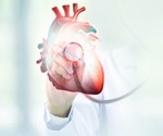 Scientists trace cardiac aging to a fading regulator in heart muscle cells