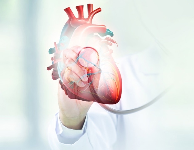 Scientists trace cardiac aging to a fading regulator in heart muscle cells