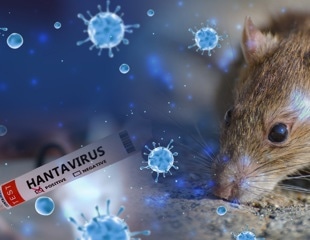 Andes virus cases on MV Hondius highlight hidden risks of confined travel