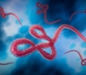 50-year review shows global Ebola spread remains rare despite outbreak fears
