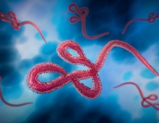 50-year review shows global Ebola spread remains rare despite outbreak fears