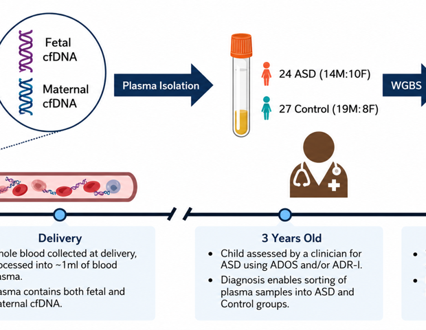 Maternal blood test reveals prenatal methylation clues linked to autism risk