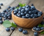 Blueberries may boost children's memory and mood
