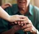 High-dose DHA reaches the brain but fails to protect memory