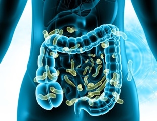 Gut microbes emerge as potential players in estrogen-driven cancers