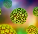 Scientists discover 70 existing drugs that block deadly hantavirus infections