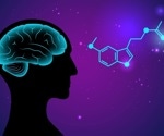 Melatonin dampens fetal membrane inflammation linked to preterm birth