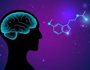 Melatonin dampens fetal membrane inflammation linked to preterm birth