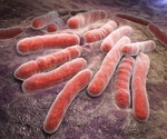 Study links severe COVID to higher TB risk, and vaccination appears to blunt the link