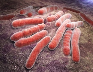 Study links severe COVID to higher TB risk, and vaccination appears to blunt the link