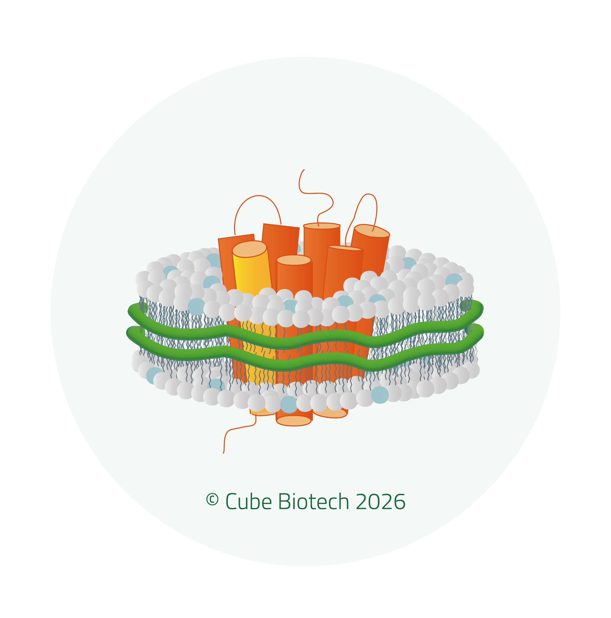 Membrane proteins in focus: Turning high-risk targets into routine workflows