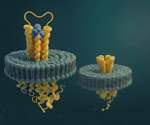 Unlocking the untapped 90%: Membrane protein purification as a three hours routine workflow