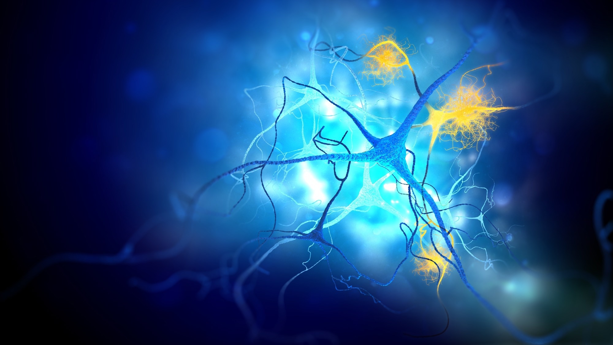 Study: Blood-based circular RNAs for early diagnosis of Alzheimer’s disease. Image Credit: Andrii Vodolazhskyi / Shutterstock