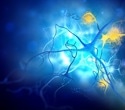 Blood circRNAs may predict Alzheimer’s before symptoms emerge