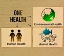 Foodborne threats demand stronger pandemic planning, review says