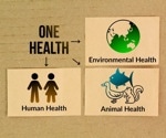 Foodborne threats demand stronger pandemic planning, review says