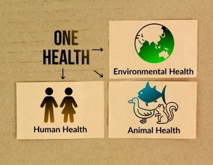 Foodborne threats demand stronger pandemic planning, review says