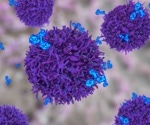 Memory B cells reveal how nasal vaccines could stop respiratory infections earlier