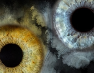 Smoking shows no major impact on the eye microbiome in small study