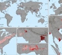 Global groundwater maps reveal hidden manganese risk for 220 million people