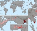 Global groundwater maps reveal hidden manganese risk for 220 million people