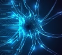 Wearable forehead patch tracks brain-water shifts during sleep at home