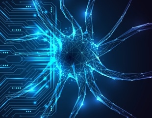 Wearable forehead patch tracks brain-water shifts during sleep at home