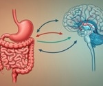 Gut microbiota may shape eating behavior and guide new obesity treatments