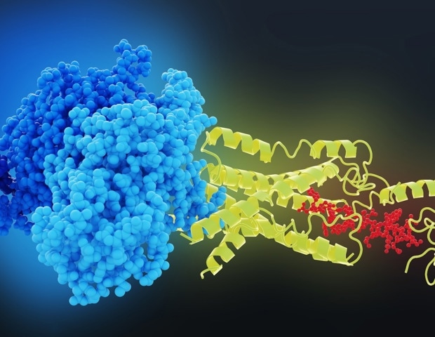 GLP-1 receptor activation linked to lower depression and bipolar disorder odds