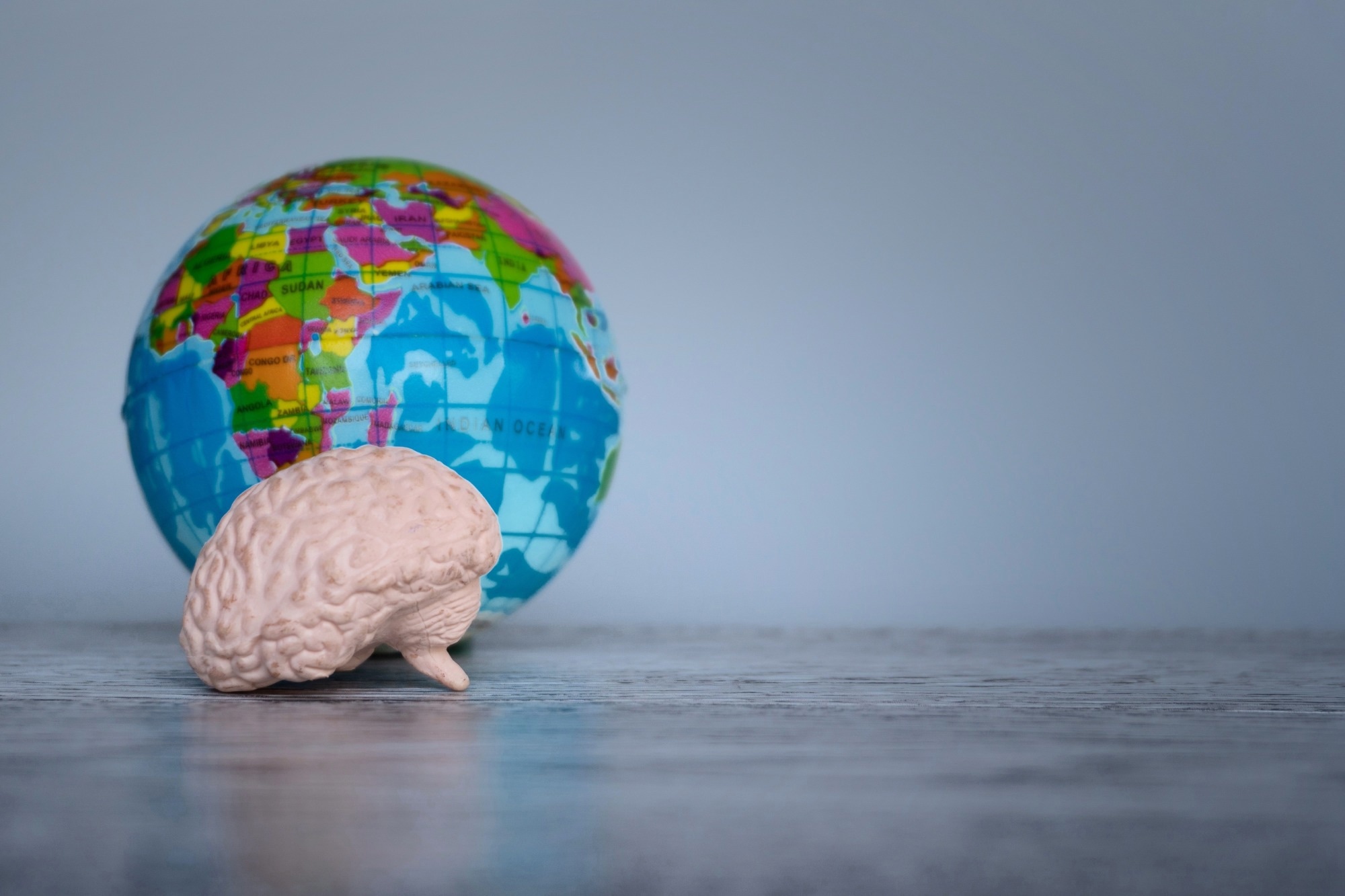 Human brain and world globe on table